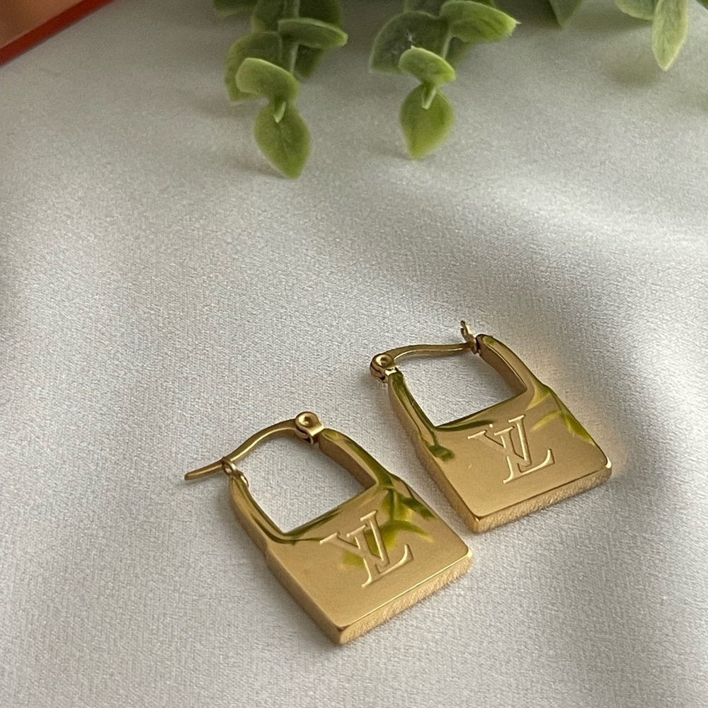 Stainless steel luxury earrings. Hoop style